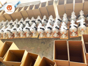 Bảng giá phụ tùng máy bơm màng